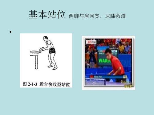 乒乓球如何站位