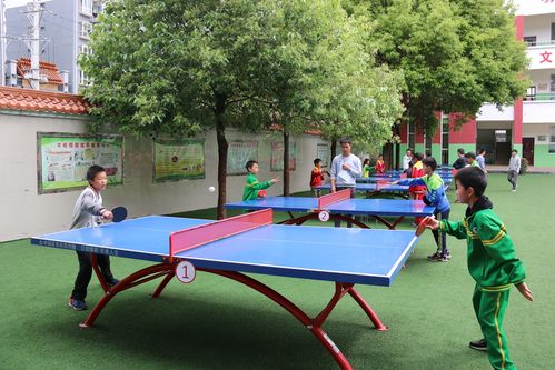 乒乓球比赛小学生规则