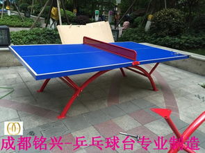 天津室外打乒乓球地方推荐