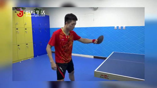 反胶