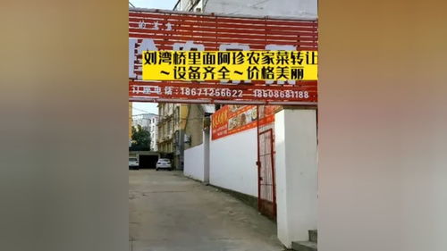 可折叠乒乓球桌尺寸