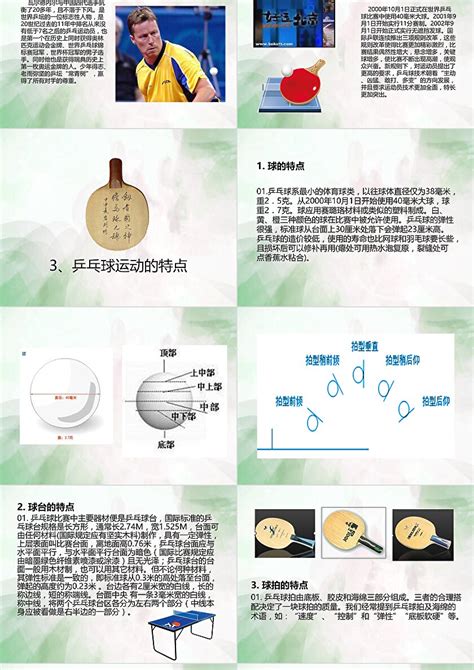 乒乓球上升期名词解释