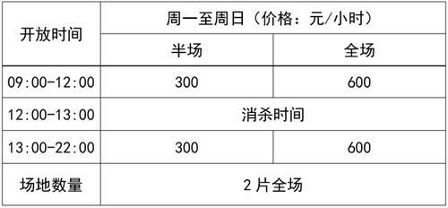 珠海乒乓球价格多少