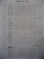 乒乓球比赛成绩记录表怎么看