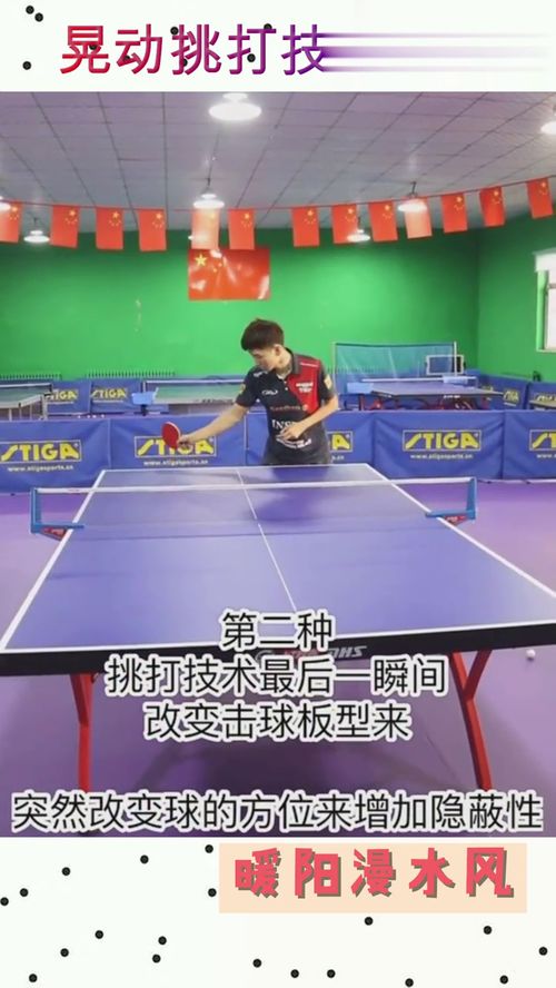 乒乓球单招学什么专业比较好
