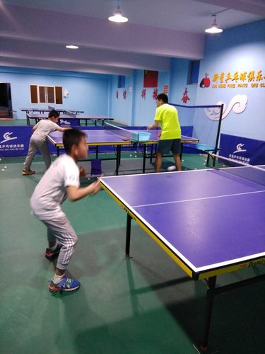 青少年乒乓球训练教学计划