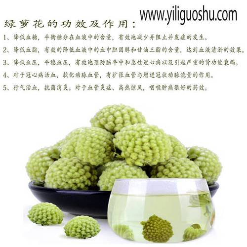 绿萝花的作用是什么