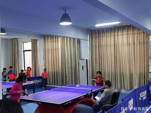 长洲区乒乓球俱乐部地址