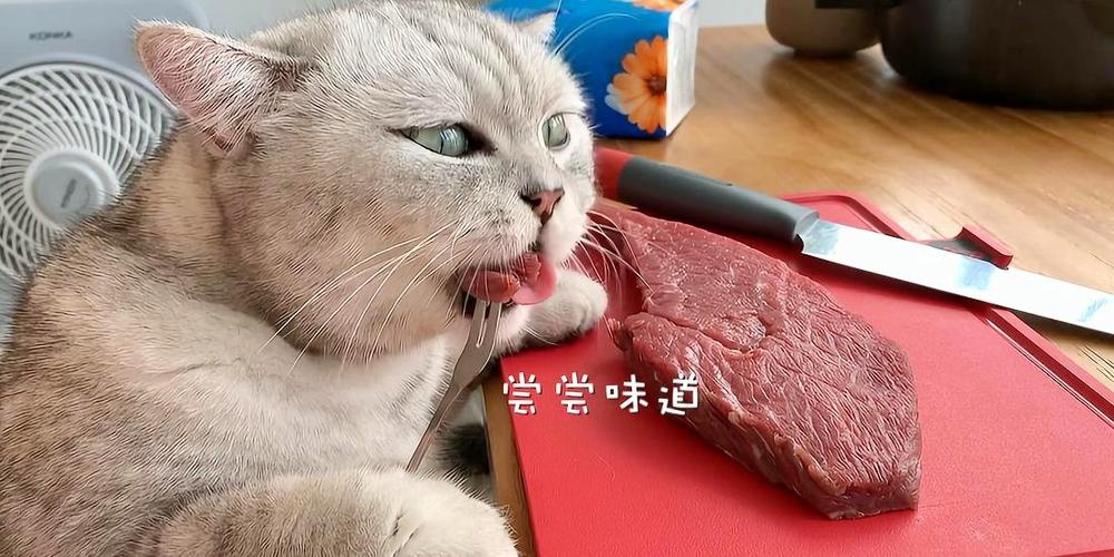 料理猫王的微博