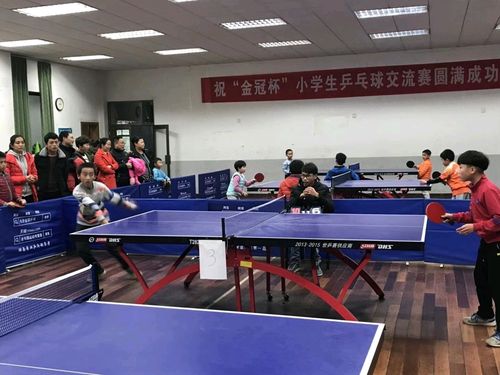 乒乓球打几年就可以了