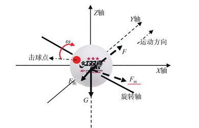 乒乓球晃球战术教学