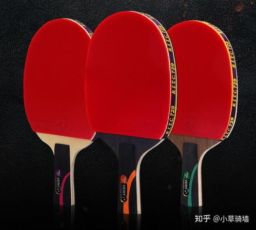乒乓球胶皮哪种好