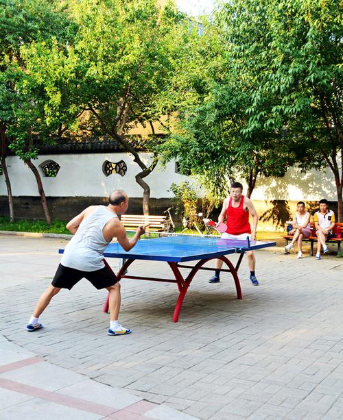 公园打乒乓球图片