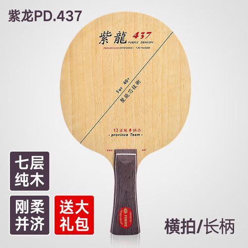 乒乓球直拍反手教学视频慢动作