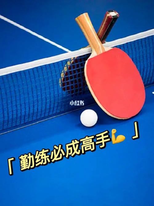 乒乓球发球次数规则