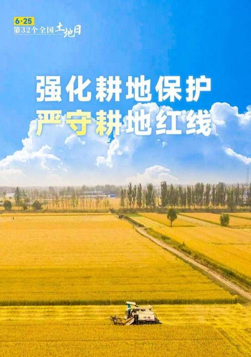 乒乓球地球仪