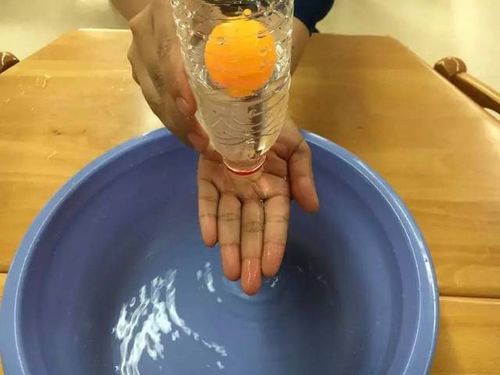 乒乓球在探究什么