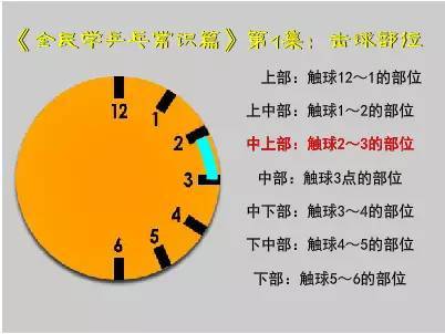 乒乓球从什么开始学