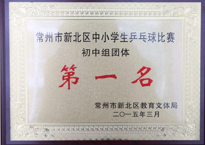 乒乓球团体循环赛表格