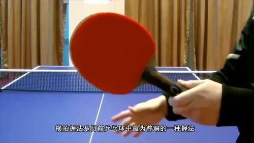 乒乓球拍运乒乓球游戏规则