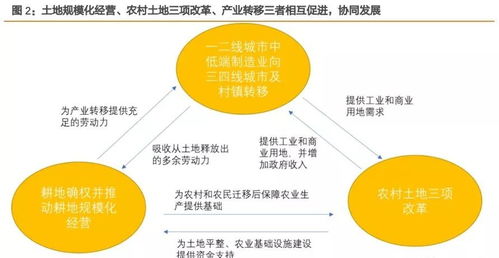 天风证券探索电力充足性与新能源海风发展,洞察欧洲电网系统性研究下的中国供应链投资机会