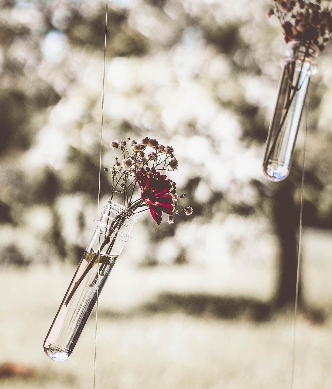 Unlocking the Joy of Life:Sharing Your Daily Adventures in English