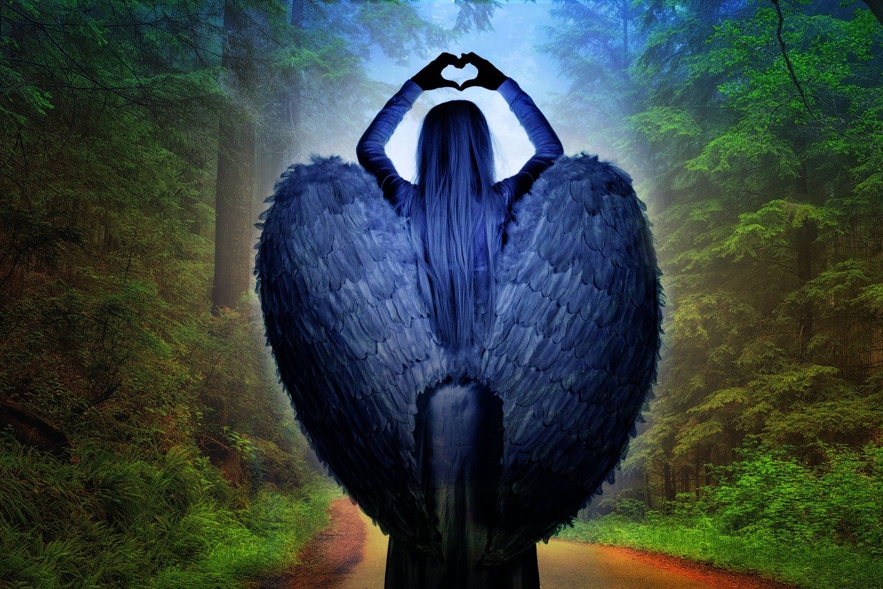 探索神秘世界，蛇的百科视频全解析